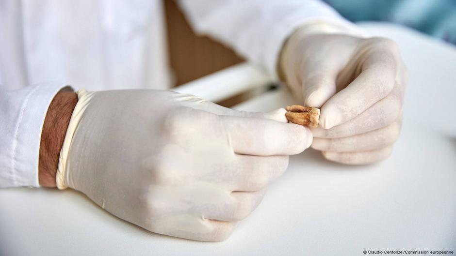 DNA ile Napolyon'un askerlerinin katilleri nasıl bulundu?