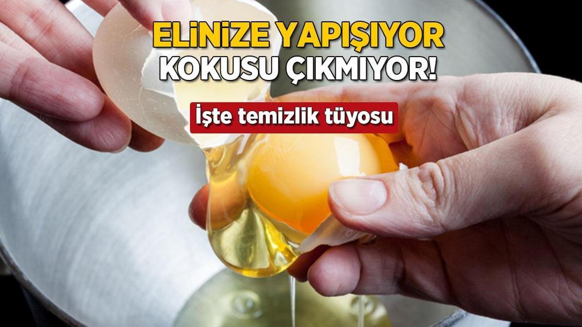 Dokununca adeta elinize yapışıyor! Yumurta kokusunu kolayca yok eden taktik