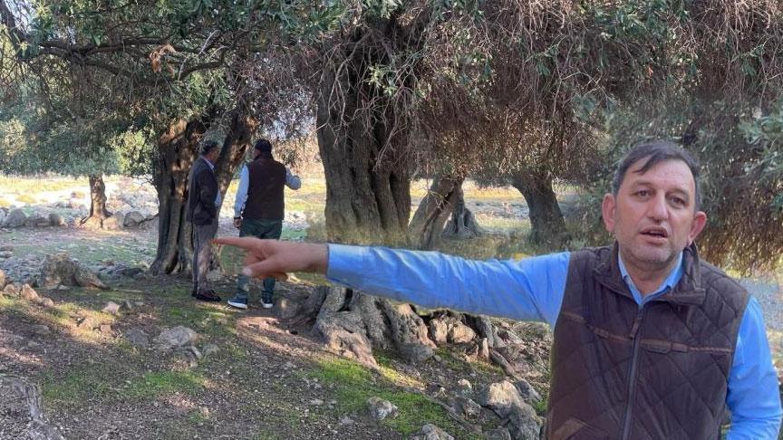 Dünyada sadece 4 ülkede var biri Türkiye’de! Bin yıllık gizem: ‘Kim getirmiş bilen yok’