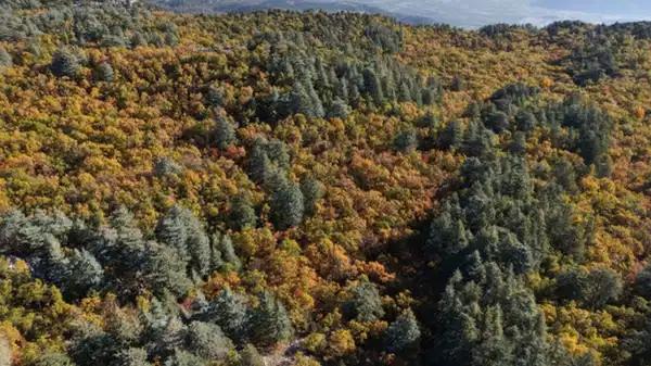 Dünyada yalnızca Isparta’da: Müsaadesiz girmenin cezası 557 bin TL