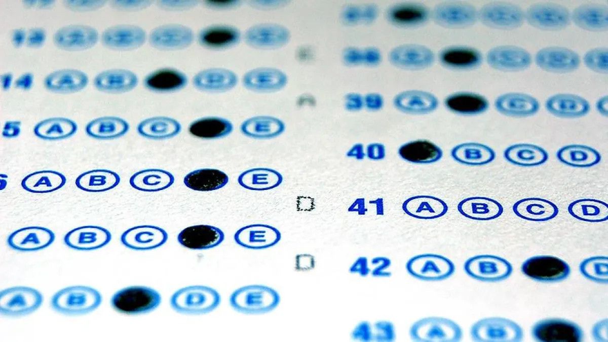 Dünyanın En Yüksek IQ Seviyesine Sahip Ülkeleri: İşte En İyiler!