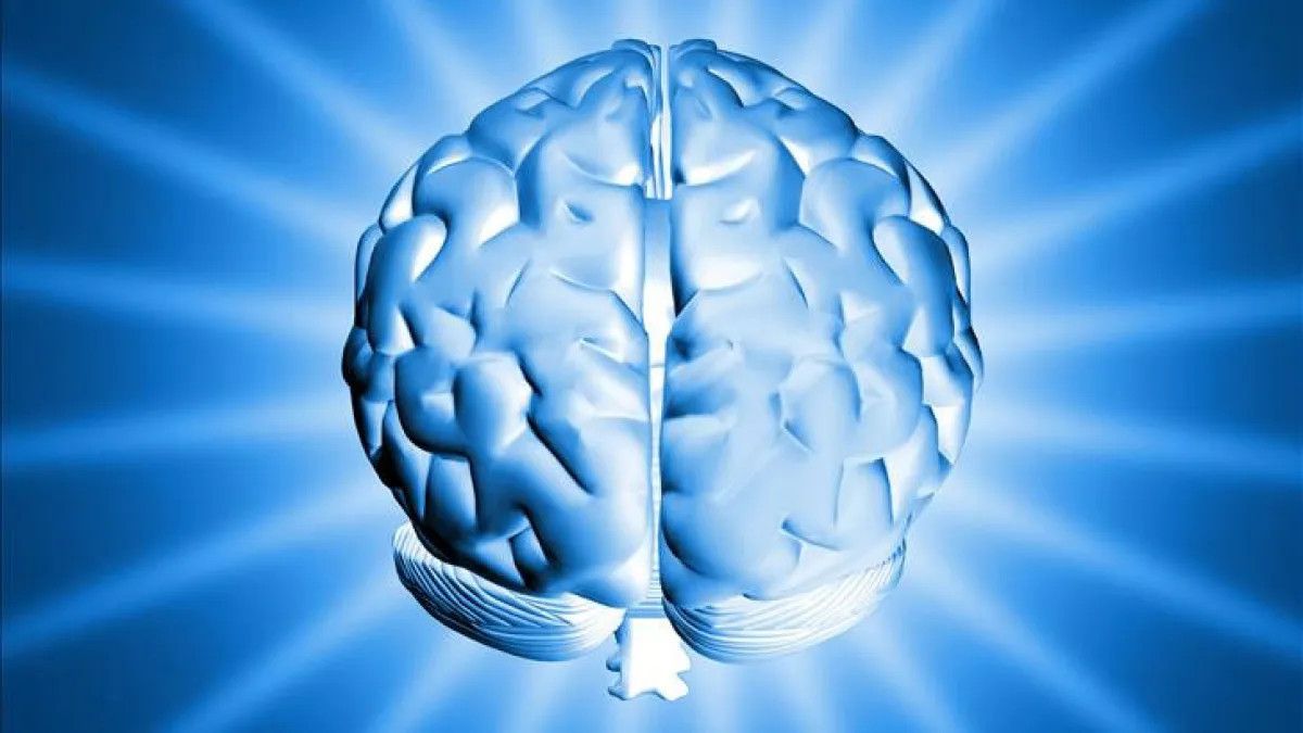 Dünyanın En Yüksek IQ Seviyesine Sahip Ülkeleri: İşte En İyiler!