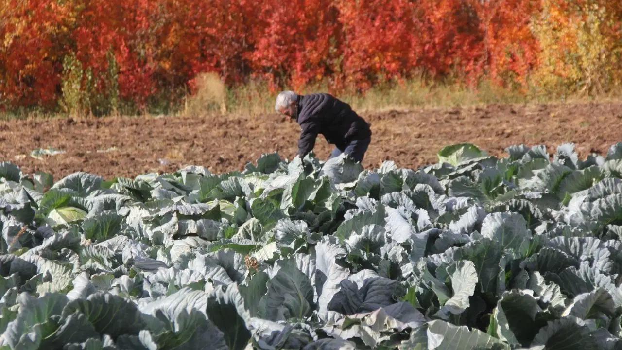 Eken az, müşterisi çok! 30 yıldır ailenin geçim kaynağı