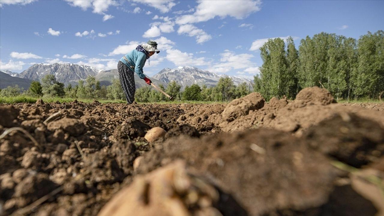 Ekimde üreticilere 11,6 milyar lira hasar tazminatı ödendi