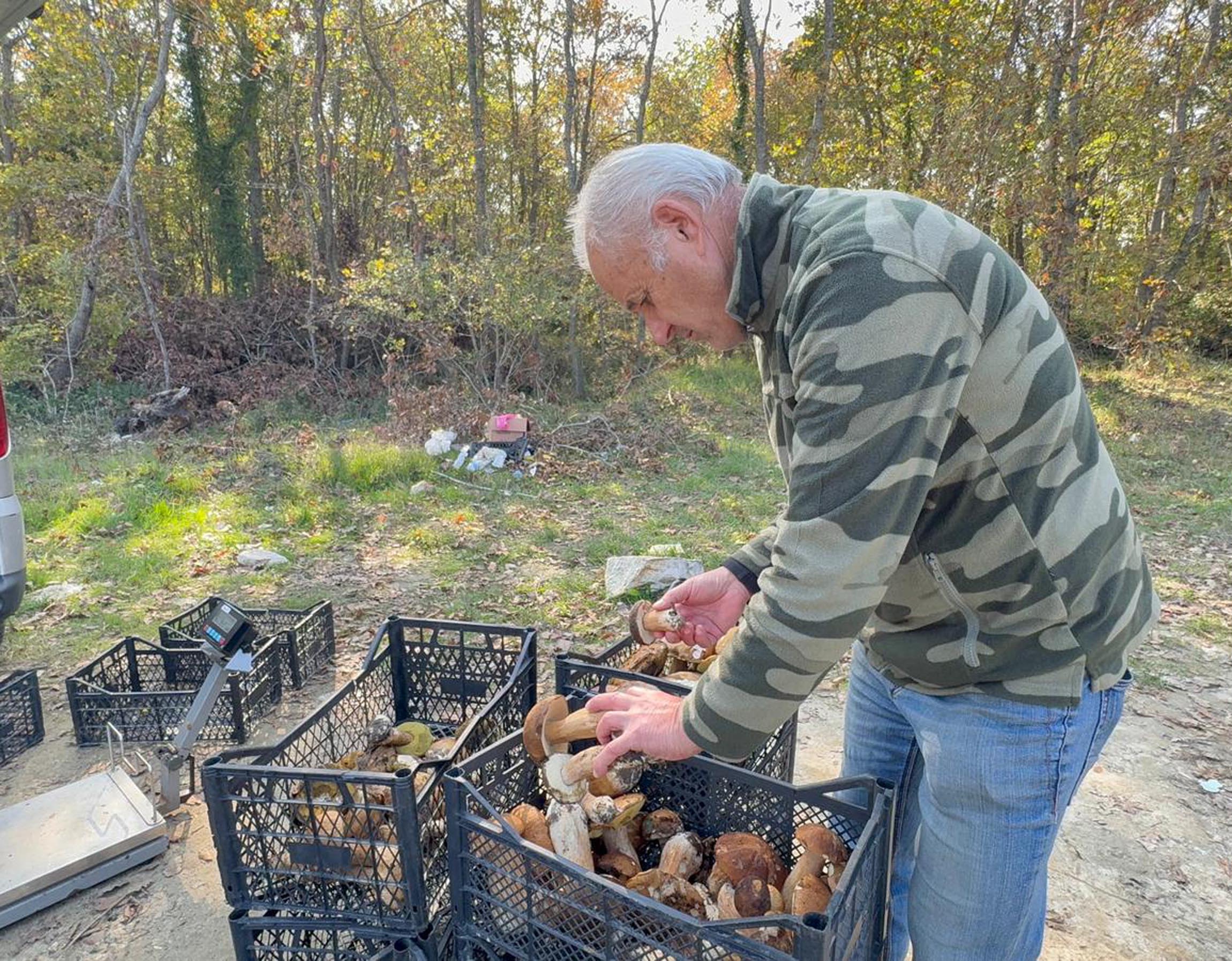 Eli Boş Dönmek: Kilosu 500 TL'ye Çıkan Gıda Yetersizliği Üzerine Etkileşimli Bir İnceleme