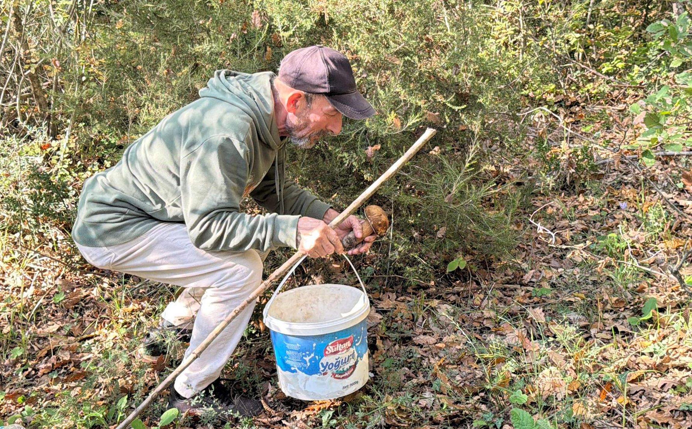 Eli Boş Dönmek: Kilosu 500 TL'ye Çıkan Gıda Yetersizliği Üzerine Etkileşimli Bir İnceleme