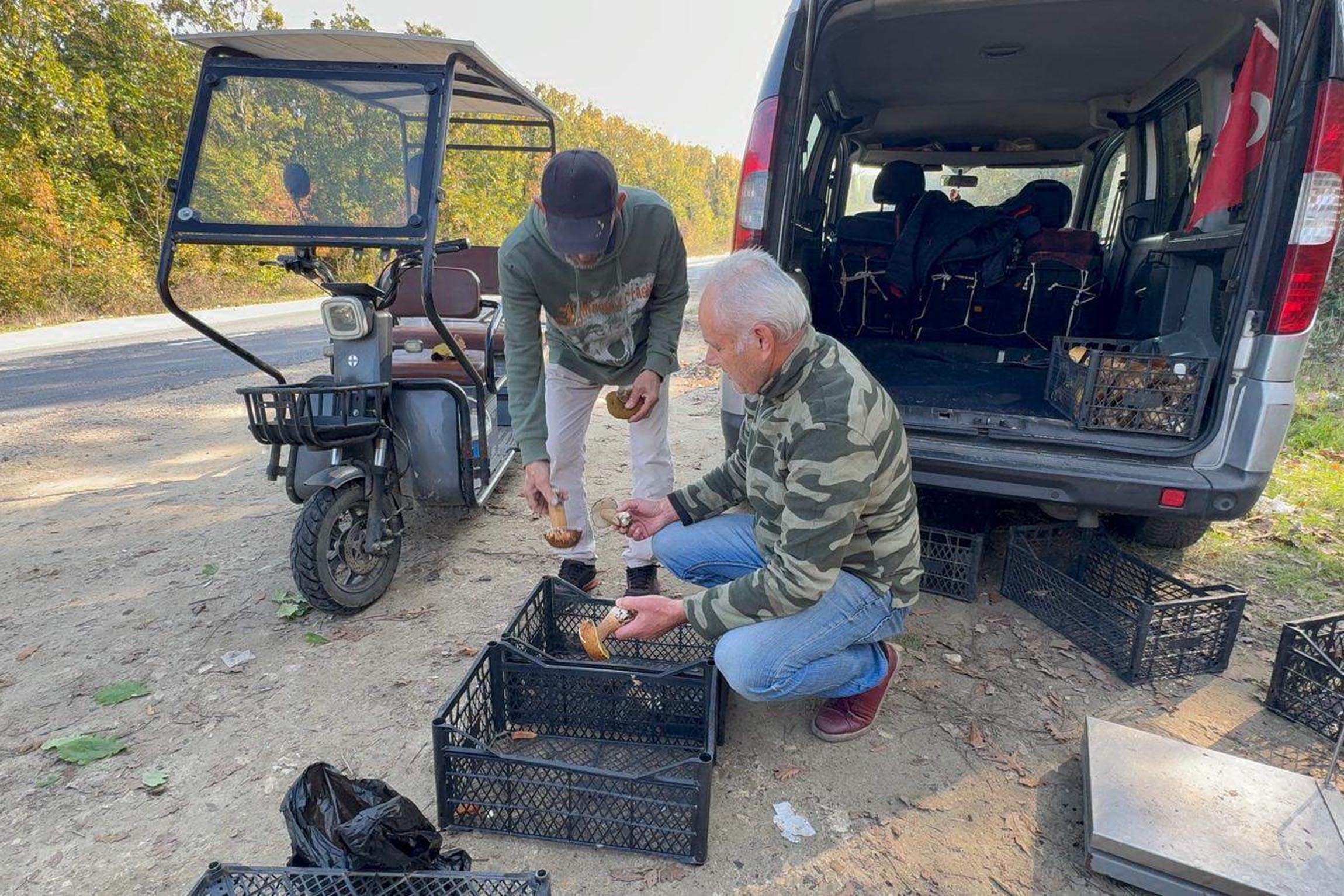 Eli Boş Dönmek: Kilosu 500 TL'ye Çıkan Gıda Yetersizliği Üzerine Etkileşimli Bir İnceleme