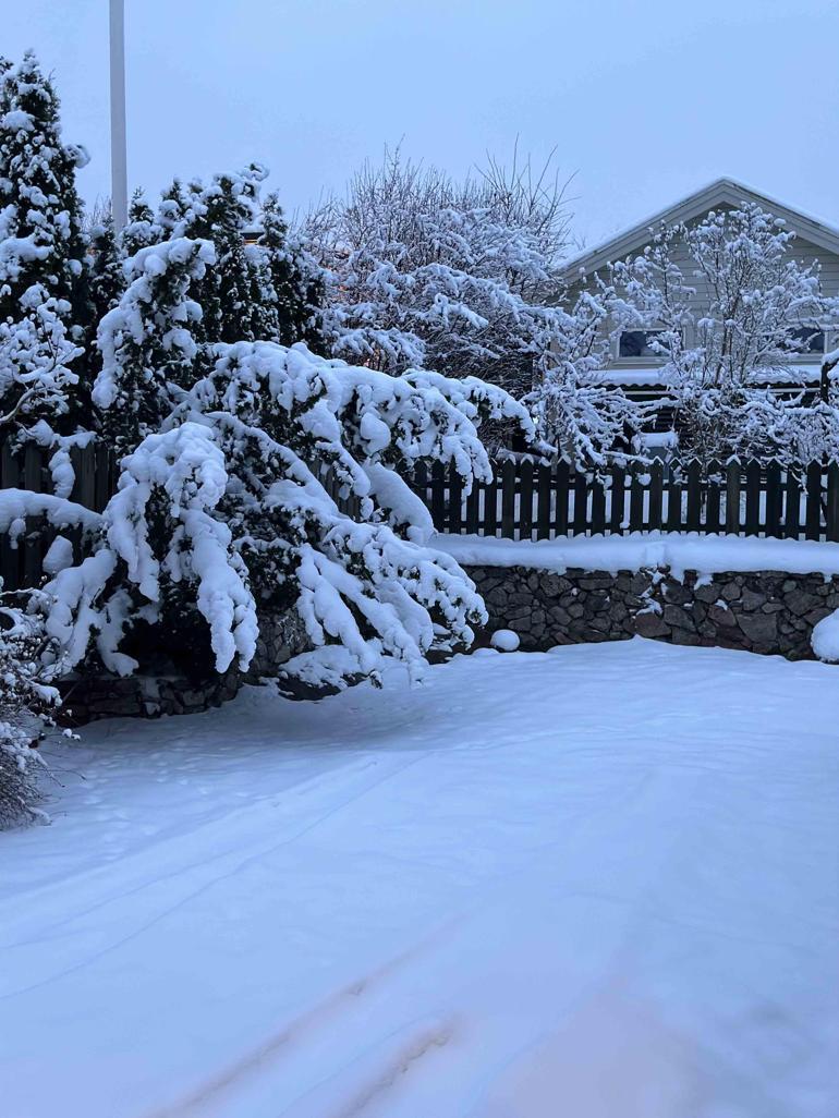 En zor karar! İsveç'te 30 metrekare evde yerde uyudu: 'Her şeye sıfırdan başladım'