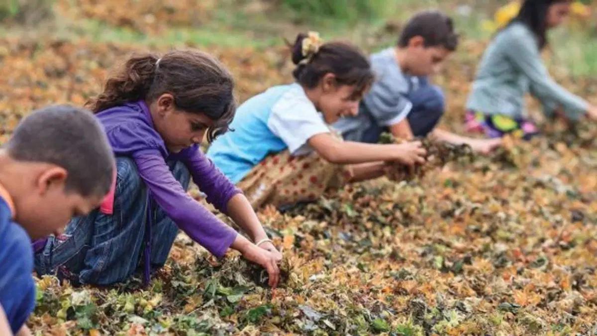 Erdoğan “Niye en az dört çocuk olmasın, beş olmasın?” dedi lakin: Bu yıl 72 çocuk iş kazalarında hayatını kaybetti!