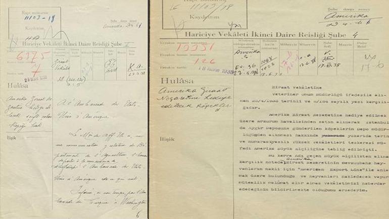 Erzurum’dan Amerika’ya uzanan sıra dışı hikaye! 1938’de çoban köpekleri için yapılan diplomatik yazışma gün yüzüne çıktı 3 Erzurum’dan Amerika’ya uzanan sıra dışı hikaye! 1938’de çoban köpekleri için yapılan diplomatik yazışma gün yüzüne çıktı