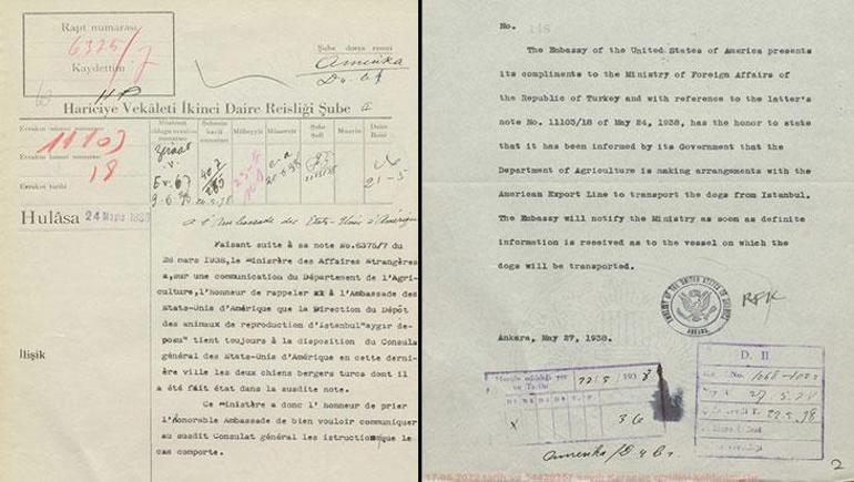 Erzurum’dan Amerika’ya uzanan sıra dışı hikaye! 1938’de çoban köpekleri için yapılan diplomatik yazışma gün yüzüne çıktı 1 Erzurum’dan Amerika’ya uzanan sıra dışı hikaye! 1938’de çoban köpekleri için yapılan diplomatik yazışma gün yüzüne çıktı
