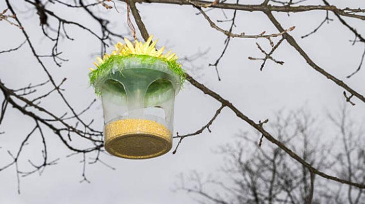 Eski avizeyi atmayın! Bahçeniz için kuşlarla dolu yemliğe dönüşsün 2 Eski avizeyi atmayın! Bahçeniz için kuşlarla dolu yemliğe dönüşsün