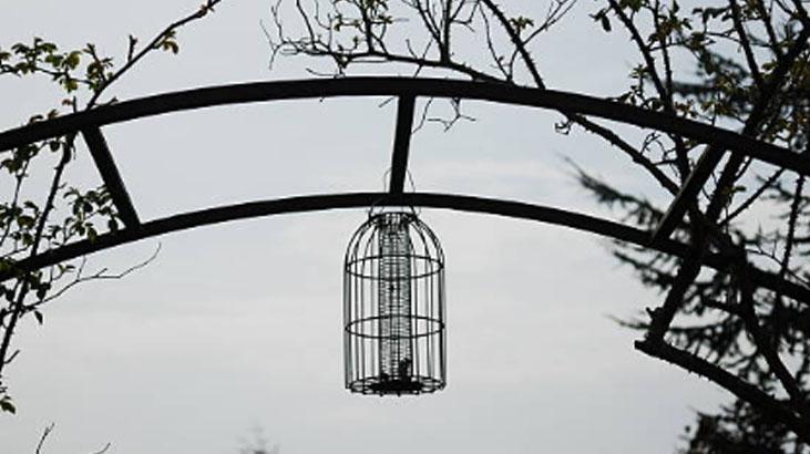 Eski avizeyi atmayın! Bahçeniz için kuşlarla dolu yemliğe dönüşsün 6 Eski avizeyi atmayın! Bahçeniz için kuşlarla dolu yemliğe dönüşsün