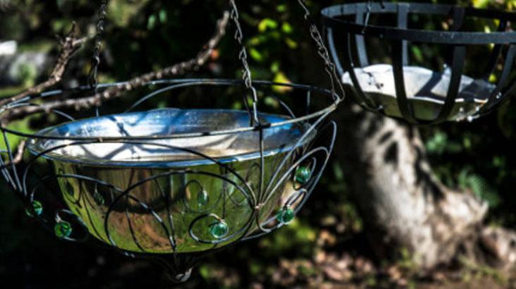 Eski avizeyi atmayın! Bahçeniz için kuşlarla dolu yemliğe dönüşsün 7 Eski avizeyi atmayın! Bahçeniz için kuşlarla dolu yemliğe dönüşsün