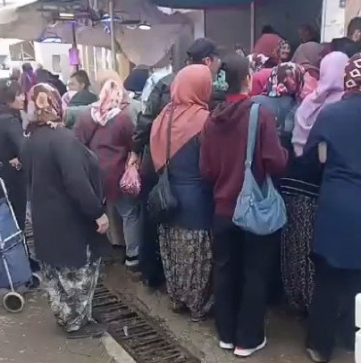 Eskişehir'de Bedava Hamsi Kuşakları Oluşturdu! Izdırap Yaşandı 1 Eskişehir'de Bedava Hamsi Kuşakları Oluşturdu! Izdırap Yaşandı