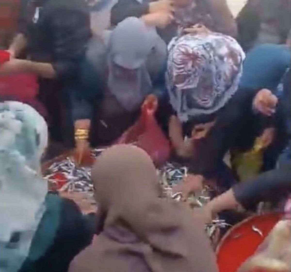 Eskişehir'de Bedava Hamsi Kuşakları Oluşturdu! Izdırap Yaşandı 2 Eskişehir'de Bedava Hamsi Kuşakları Oluşturdu! Izdırap Yaşandı