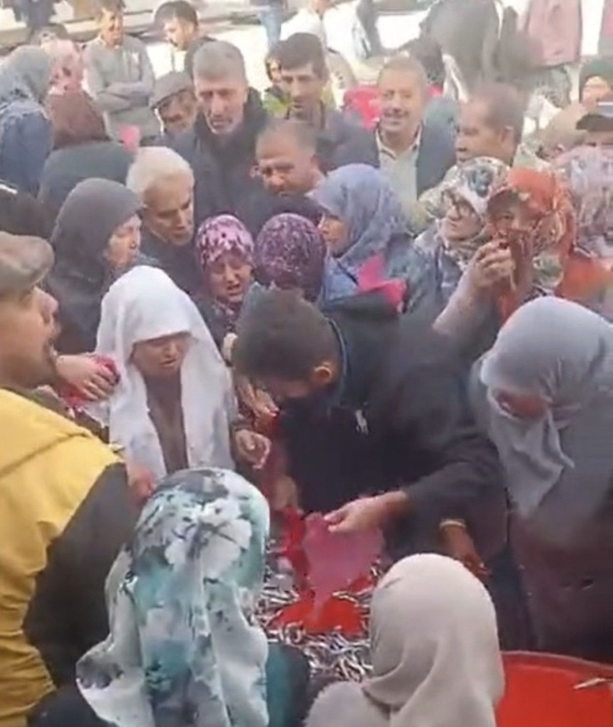 Eskişehir'de Bedava Hamsi Kuşakları Oluşturdu! Izdırap Yaşandı 3 Eskişehir'de Bedava Hamsi Kuşakları Oluşturdu! Izdırap Yaşandı