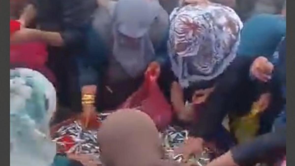 Eskişehir’de Bedava Hamsi Kuşakları Oluşturdu! Izdırap Yaşandı