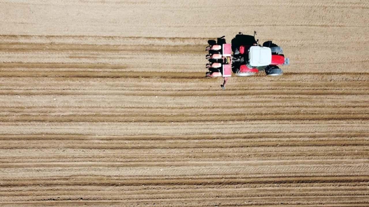 FAO’dan Türkiye’deki projelere 8,1 milyon dolarlık kaynak