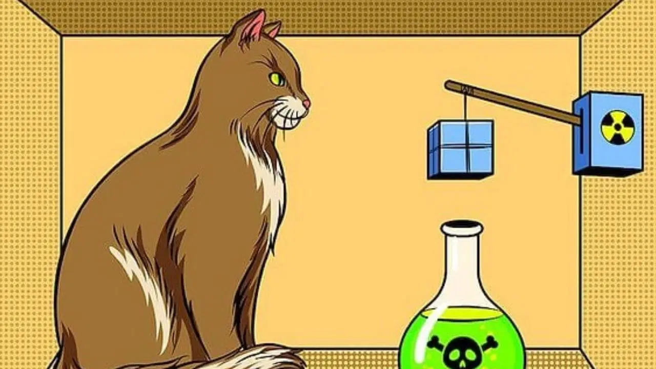 Fiziğin en çok tartışılan kedisi: Schrödinger Paradoksu bilim dünyasını ikiye bölüyor 1 Fiziğin en çok tartışılan kedisi: Schrödinger Paradoksu bilim dünyasını ikiye bölüyor