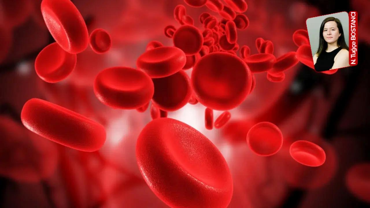 Halk sıhhatinde görünmeyen kriz: ‘Demir eksikliği anemisi hala en yaygın sorun’