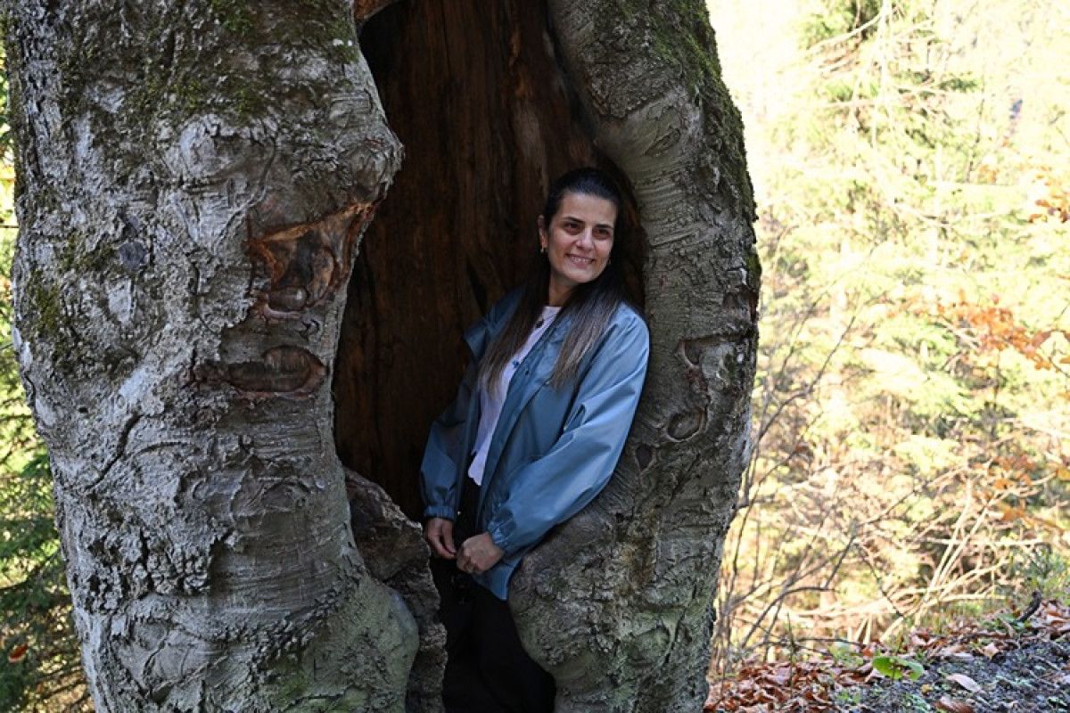 Hamsiköy'ün Sonbahar Renk Cümbüşü: Doğanın Dansı Başladı!