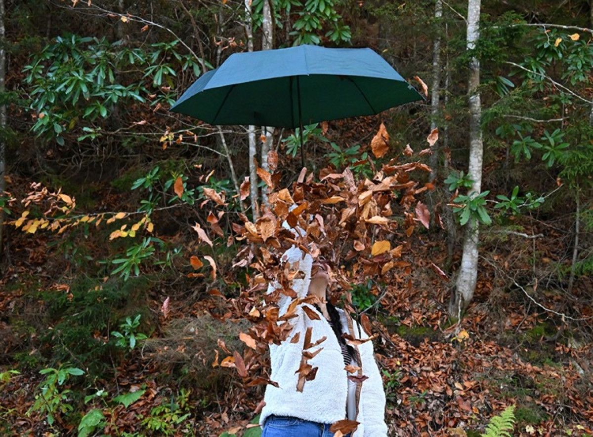 Hamsiköy'ün Sonbahar Renk Cümbüşü: Doğanın Dansı Başladı!