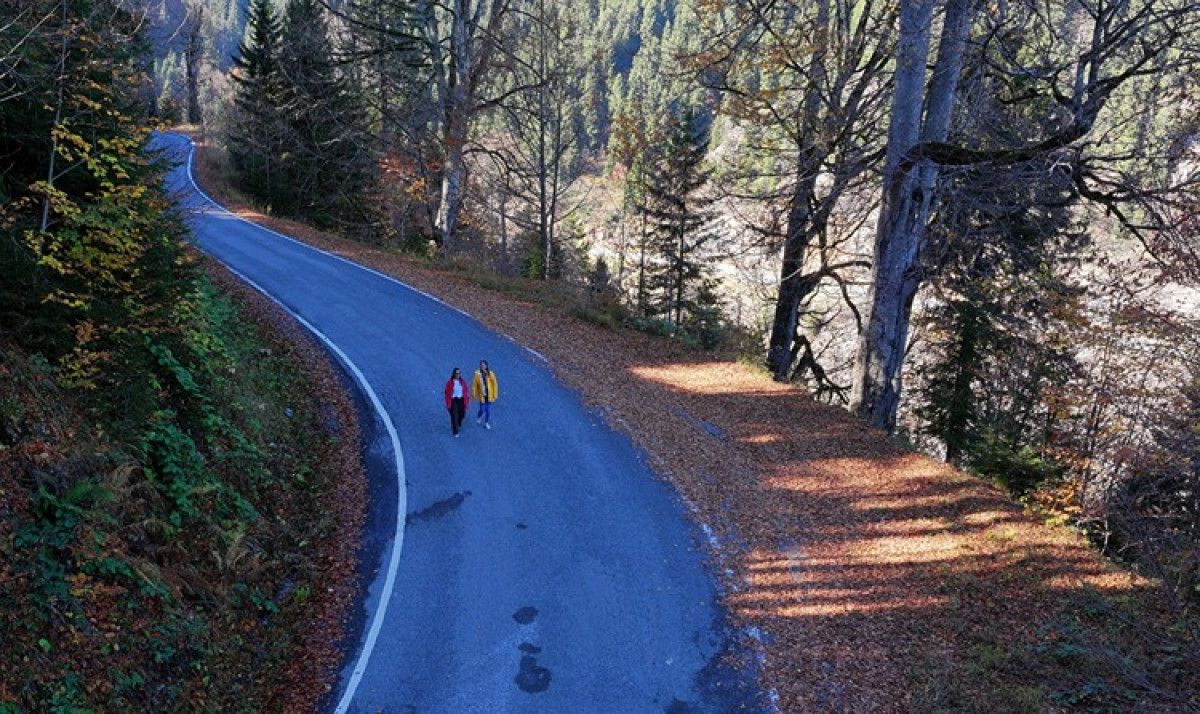 Hamsiköy'ün Sonbahar Renk Cümbüşü: Doğanın Dansı Başladı!