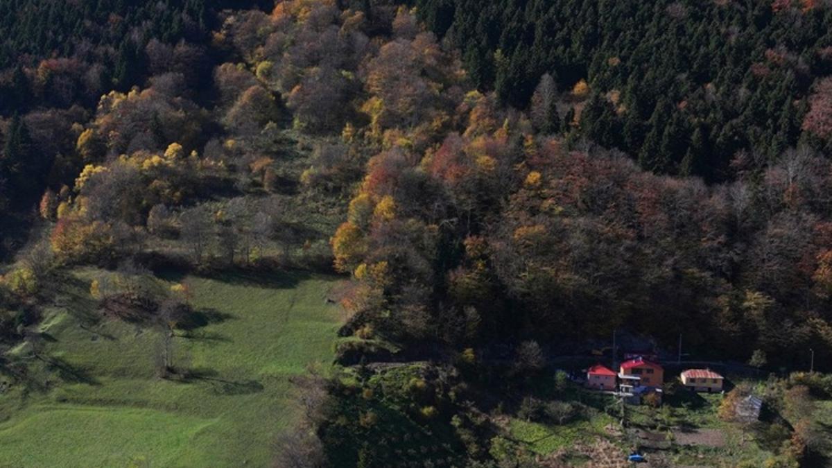Hamsiköy’ün Sonbahar Renk Cümbüşü: Doğanın Dansı Başladı!