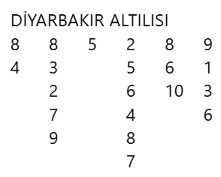 Has Serçe 2 Has Serçe