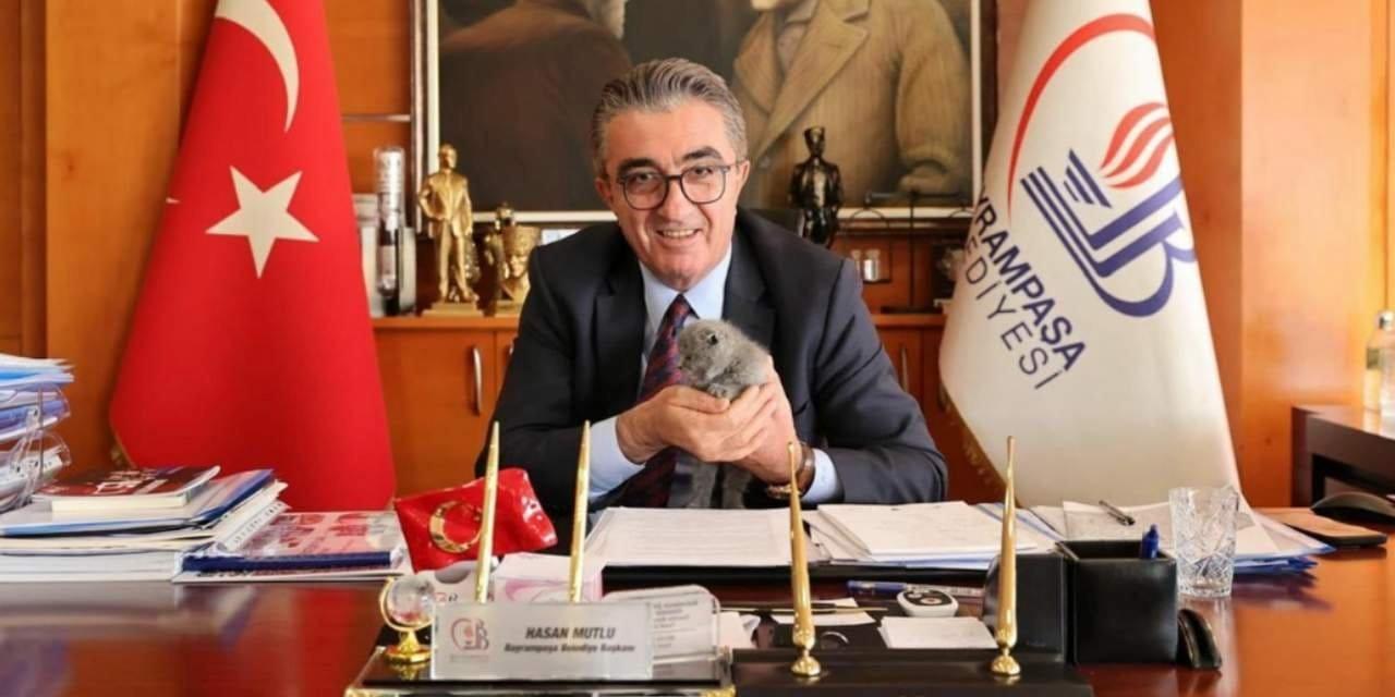 Hasan Mutlu’nun Kedisi Üzerine: Sosyal Medya Fotoğraflarının Ardındaki Şok Gerçekler ve Hayvan Sahiplenme Skandalı