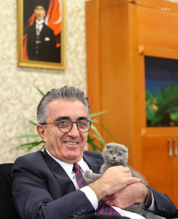 Hasan Mutlu'nun Kedisi Üzerine: Sosyal Medya Fotoğraflarının Ardındaki Şok Gerçekler ve Hayvan Sahiplenme Skandalı