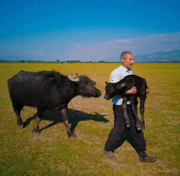 Huawei XMAGE 2025 Mükafatları sahiplerini buldu: Tokatlı Mehmet Emin Coruş dünya ikincisi!