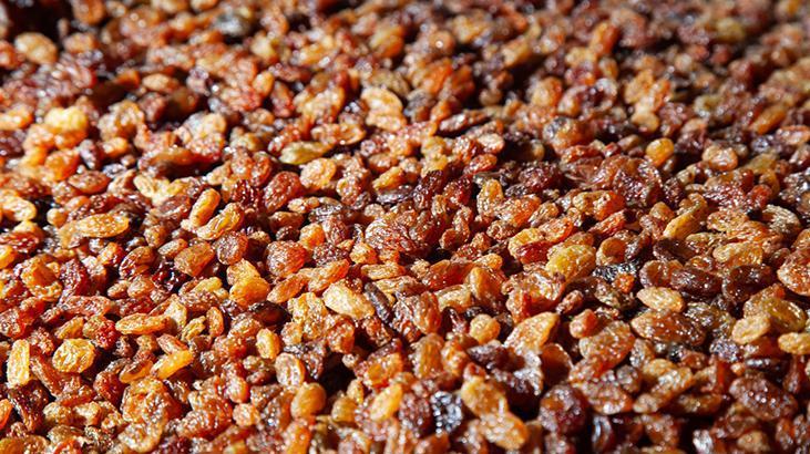 İbn-i Sina'nın mucize reçetesi! Kuru üzümle öksürüğü ve balgama anında çözüm 3 İbn-i Sina'nın mucize reçetesi! Kuru üzümle öksürüğü ve balgama anında çözüm