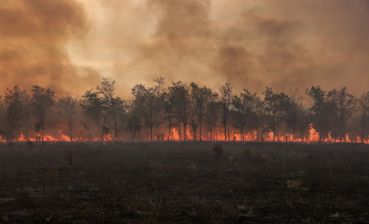 İklim Kriziyle Yüzleşen En Savunmasız Şehirler: Felaketlere Hazırlıklı Olmak Zorundayız