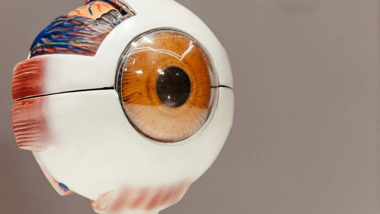 İnsan gözünden daha düzgün gören robotik göz geliştirildi