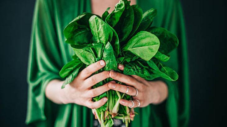 Ispanaktaki kum ve çamuru yok eden şaşırtıcı sır! Sadece 1 kaşık yetiyor