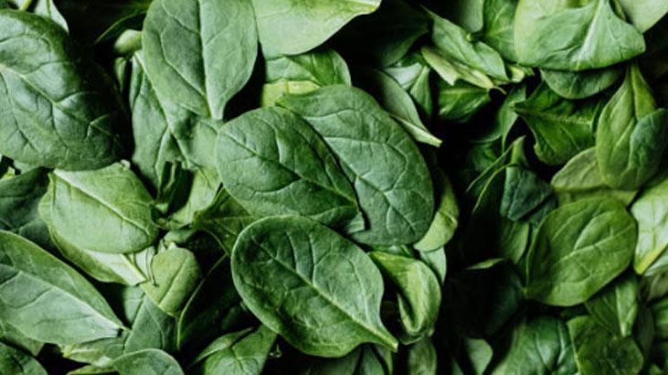 Ispanaktaki kum ve çamuru yok eden şaşırtıcı sır! Sadece 1 kaşık yetiyor