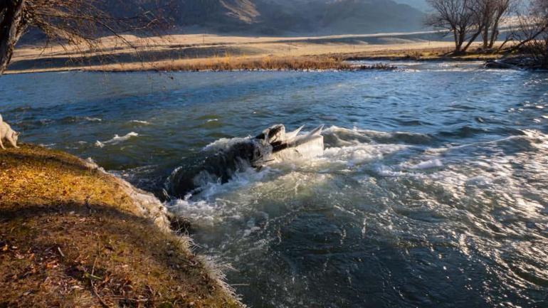 İstanbul'dan Altay Dağları'na göç! Eski Türklerin izinde: '25'imde yeniden doğdum'