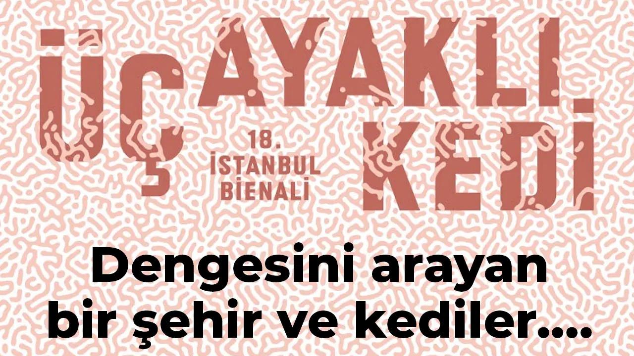 İstikrarını arayan bir kent ve kediler…