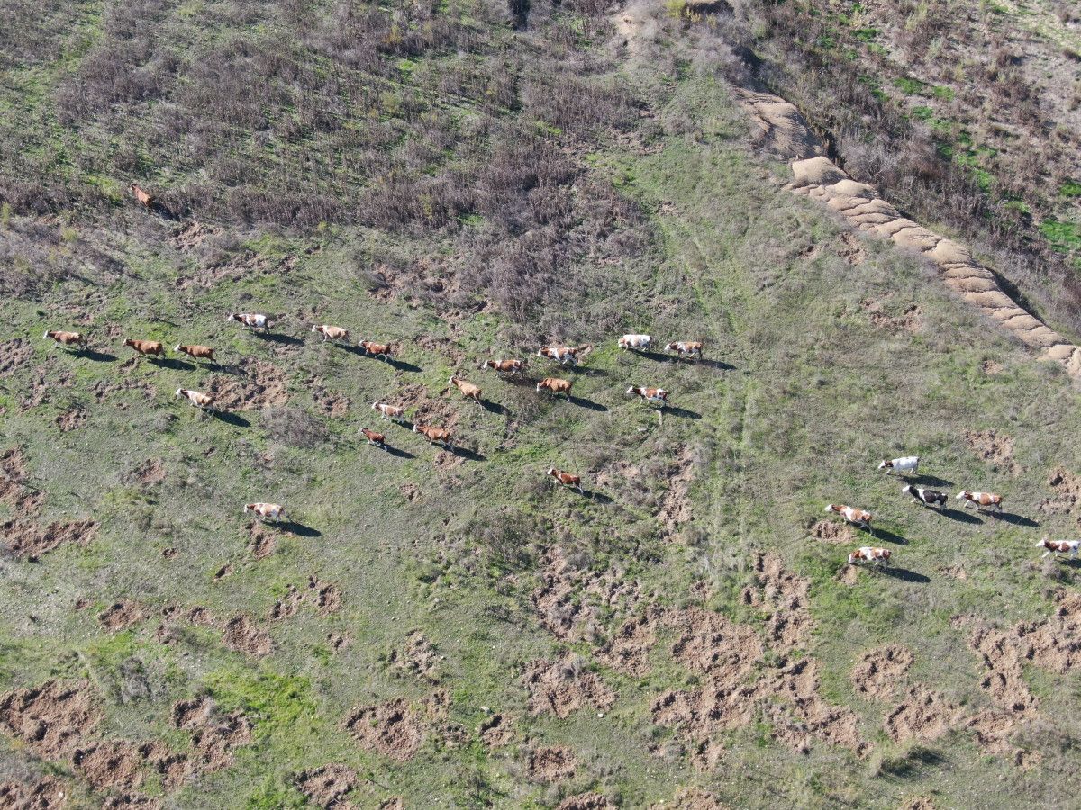 İzmir'in Tahtalı Barajı Tarihinin En Düşük Seviyesinde!