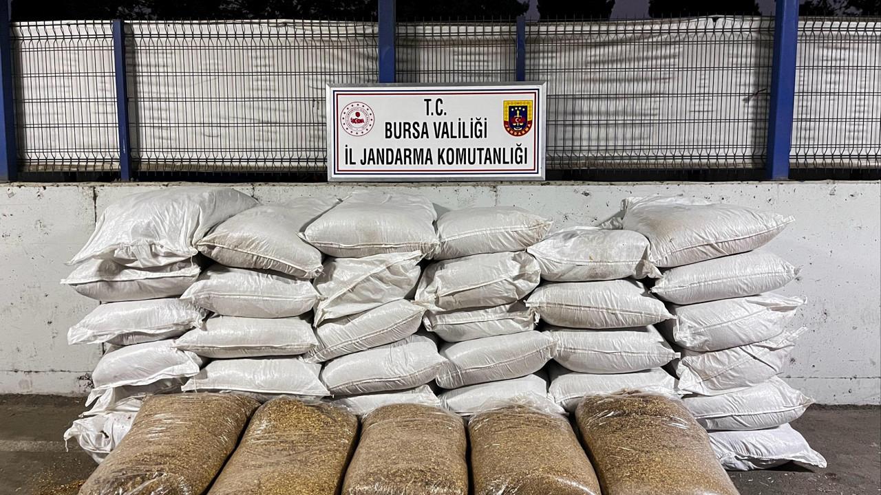 Jandarmadan kaçak sigara operasyonu