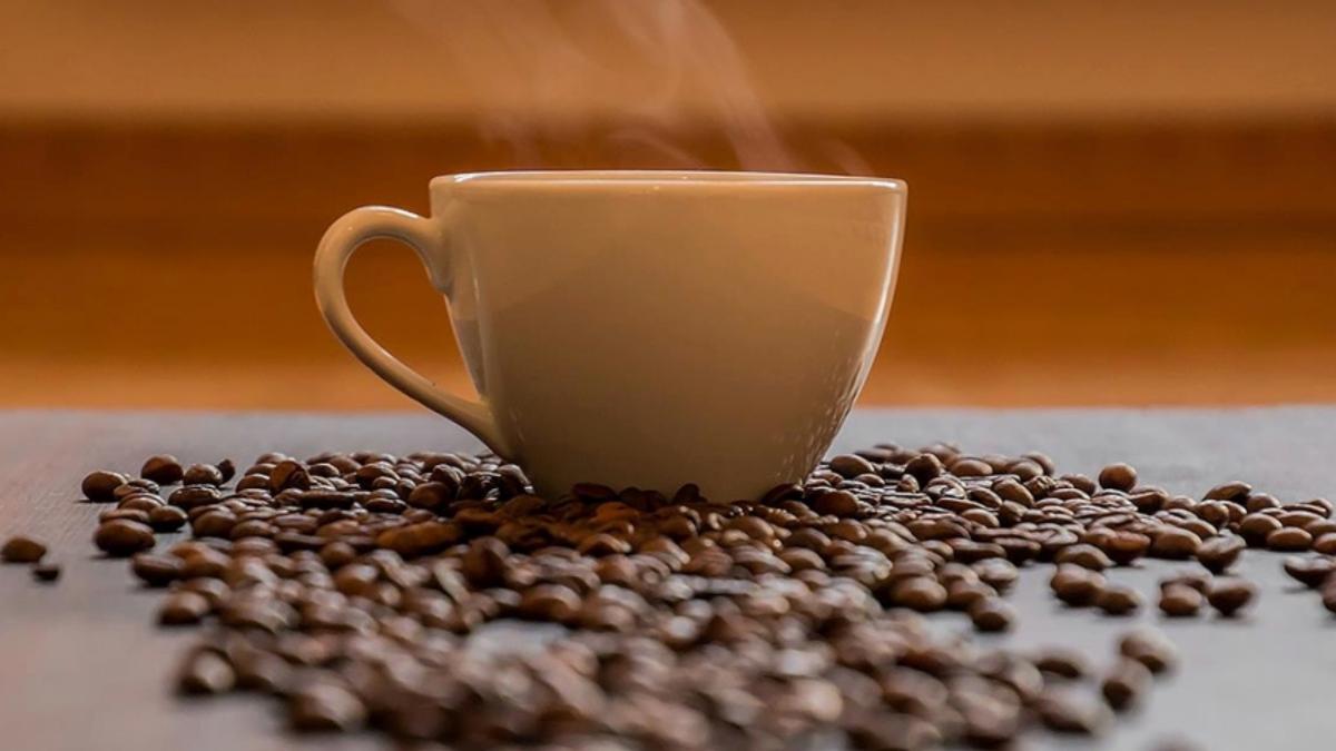 Kafein Alarmı: Günlük 4 Fincan Kahve Hafızanızı Zayıflatabilir!