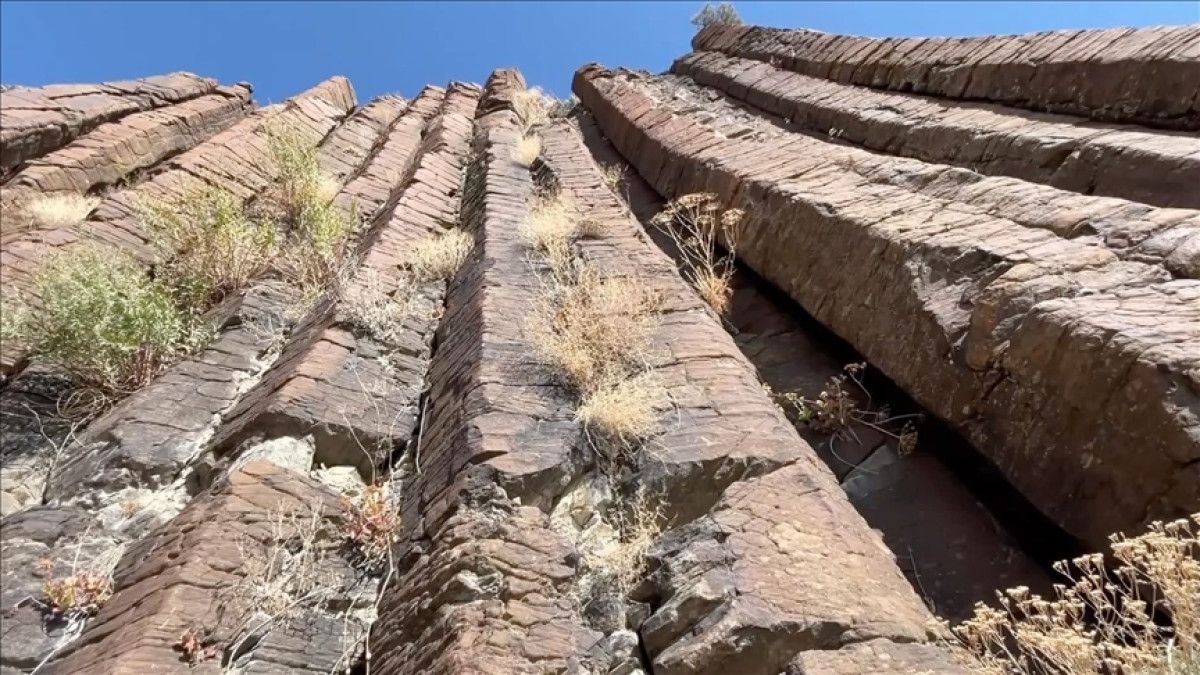 Kağızman'daki 7 Milyon Yıllık Sütunlar: Bilim Dünyasını Şaşkına Çeviren Keşif!