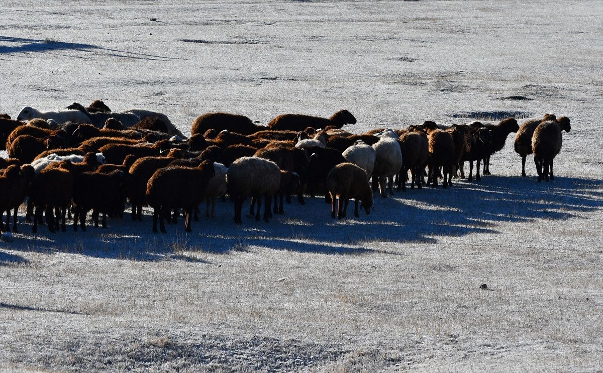 Karsta Kış Erken Başladı: Büyüleyici Bir Manzara 6 Karsta Kış Erken Başladı: Büyüleyici Bir Manzara