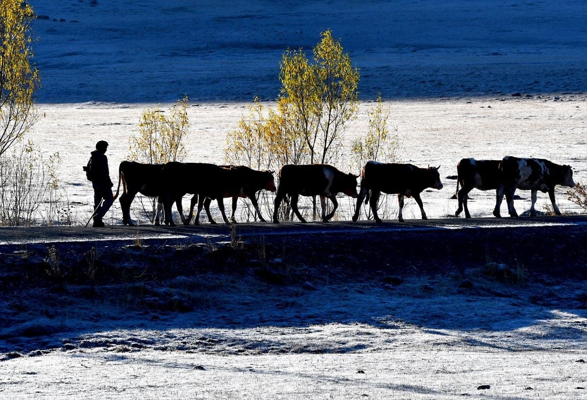 Karsta Kış Erken Başladı: Büyüleyici Bir Manzara 7 Karsta Kış Erken Başladı: Büyüleyici Bir Manzara