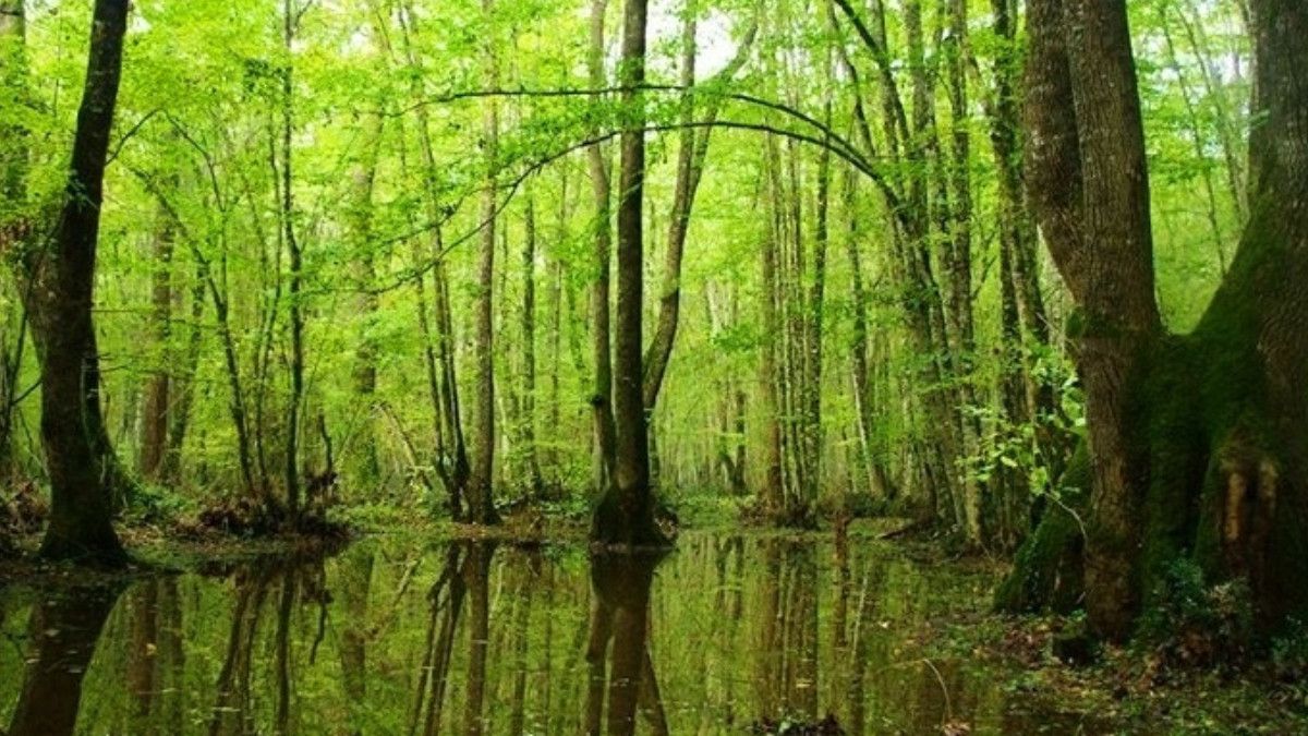 Kasım'da Hafta Sonları için En Uygun 5 Kaçamak Rota 5 Kasım'da Hafta Sonları için En Uygun 5 Kaçamak Rota