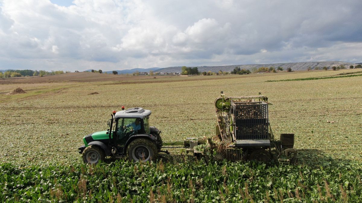 Kastamonu'da Çiftçilerin Zorlu Pancar Mücadelesi: 1 Dönümden 5 Ton Ürün Elde Edildi 1 Kastamonu'da Çiftçilerin Zorlu Pancar Mücadelesi: 1 Dönümden 5 Ton Ürün Elde Edildi