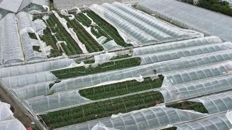 Kent felaketi yaşadı! Her yer dakikalar içinde beyaza büründü 1 Kent felaketi yaşadı! Her yer dakikalar içinde beyaza büründü