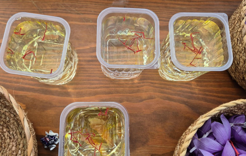 Kilosu altınla yarışıyor! Üretici mahsul değil servet topluyor